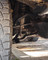 Freedom Off-Road OEM Replacement Front Lower Control Arms w/ Cam Bolts and Ball Joints (Non-KDSS) #FO-T700FL 