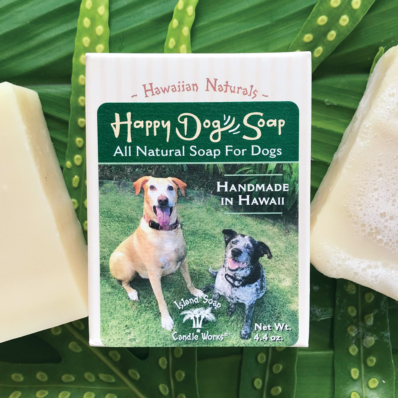 Dog and shop i soap