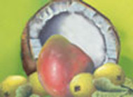 Mango Coconut Guava