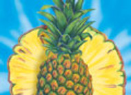 Pineapple Paradise