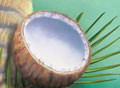 Coconut