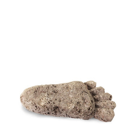 Pumice Stone Foot