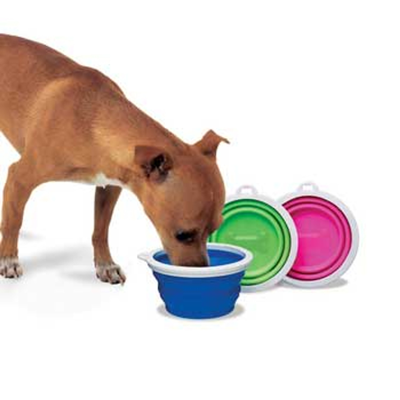 Petmate Round Silicone Travel Pet Bowl Blue