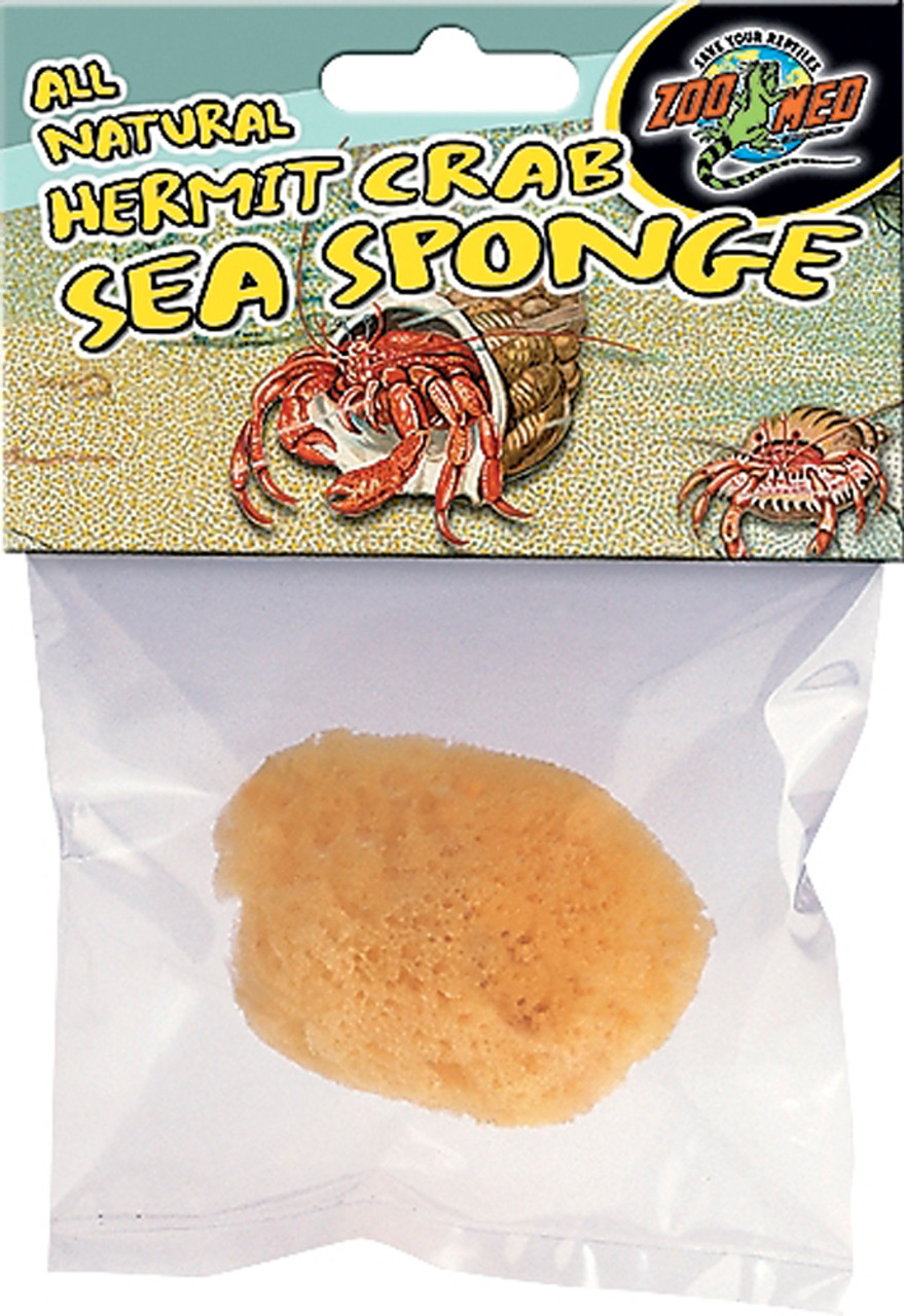 Natural Sea Sponge for Hermit Crabs