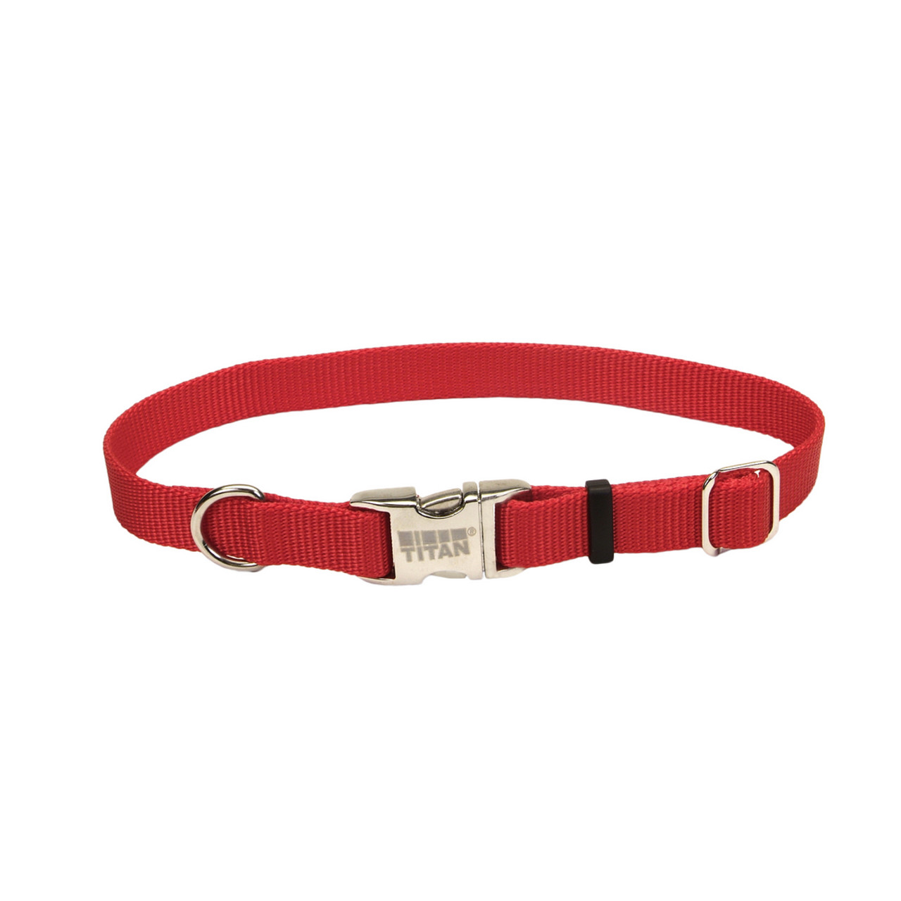 Medium Dog Collar