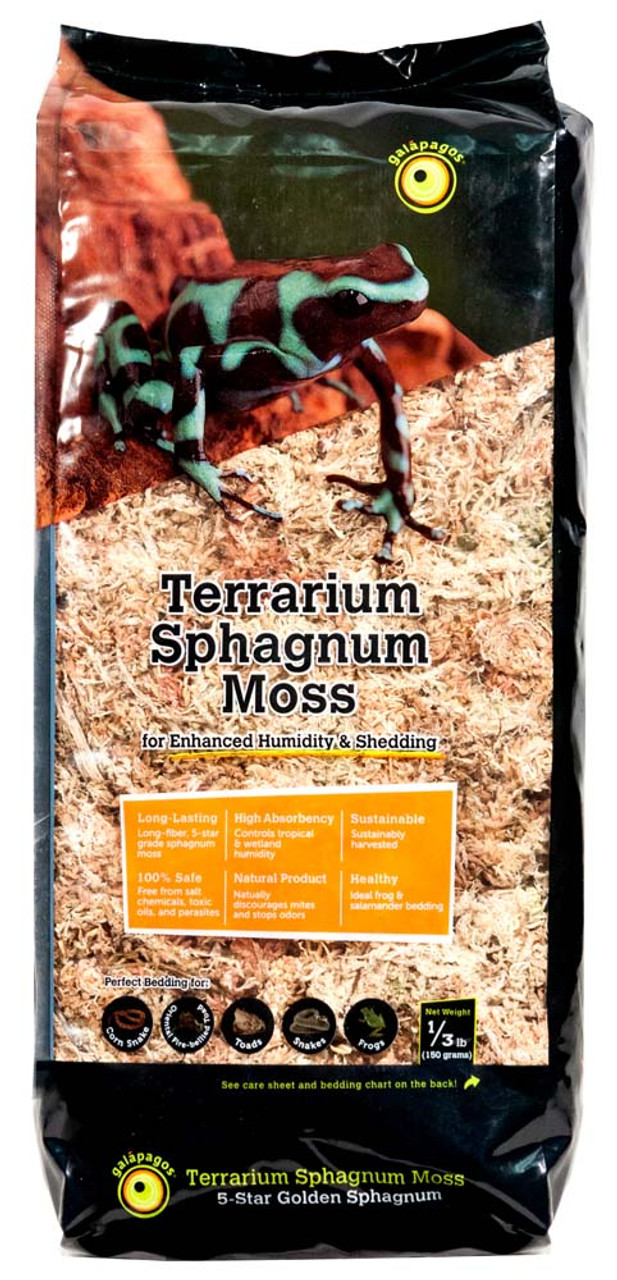 Galapagos Sphagnum Moss Green 