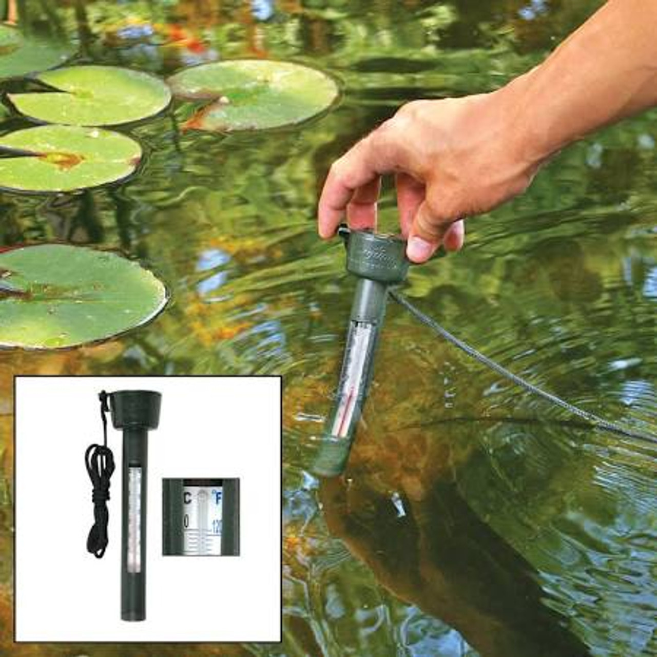 Floating Pond Thermometer For Your Pond