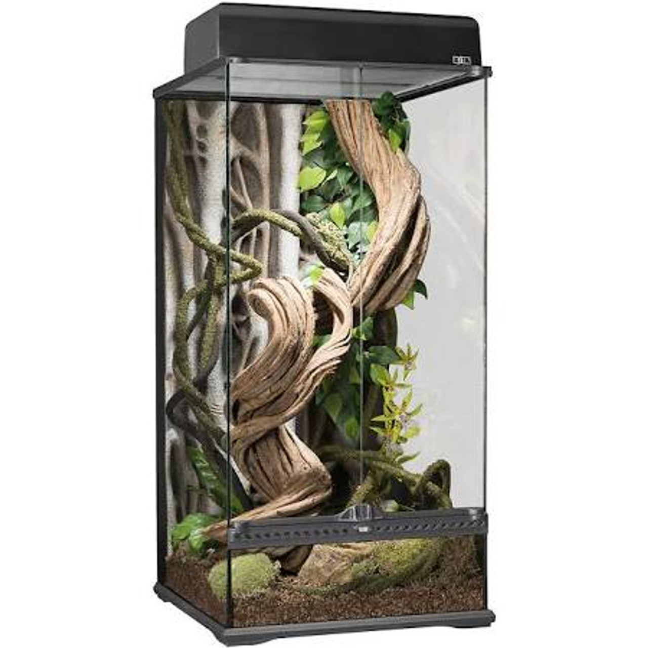 gøre ondt træk uld over øjnene tynd Exo Terra Terrarium Small Extra Tall 18x18x36 In Pt2606 SD-3 015561226066