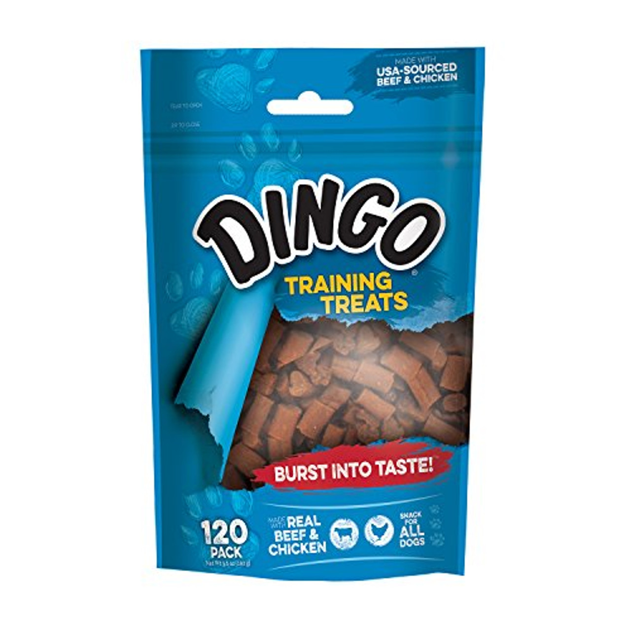 Dingo Trng Dog