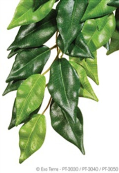Exo Terra Silk Plant Small Ficus Pt3030{L+7} 015561230308