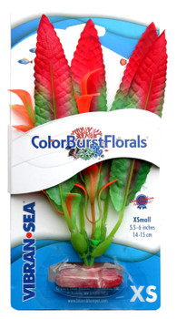 Blue Ribbon Colorburst Florals Crispus Aquarium Plant Red XS