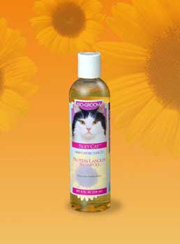 Bio-groom Silky Cat Tearless Shampoo 8oz {L+2} 021653200081