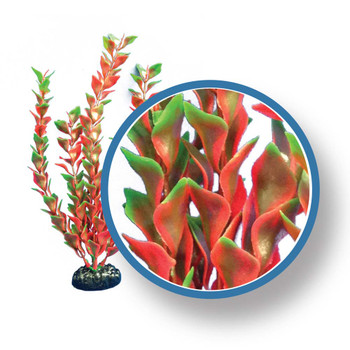 Weco Freshwater Pro Series Ludwigia Aquarium Plant Red 18 in