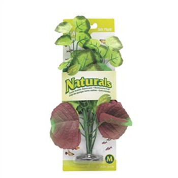 Marina Naturals Pennywort Silk Plant Medium Pp102{L+7} 080605101029