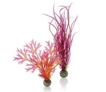 Easy Plants have a unique self righting design avaiable in three sizes.  Suitable for any aquarium. 2 plants per pack."
