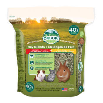 Oxbow Animal Health Hay Blends Western Timothy & Orchard Small Animal Treat 40oz