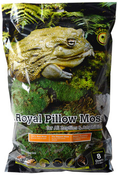 Galapagos Pillow Moss 05231