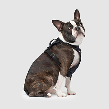 Everything your pooch needs in one comfortable and functional no-pull harness