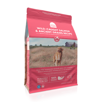This tasty high protein, gluten-free meal is loaded with sustainably caught, Ocean Wise certified salmon, wholesome grains like steel-cut oats, quinoa, and chia seeds and superfoods like coconut oil, pumpkin and turmeric. It?s dry good-for-your-pup food. Wild-Caught Salmon & Ancient Grains Dry Dog Food, 11 LB