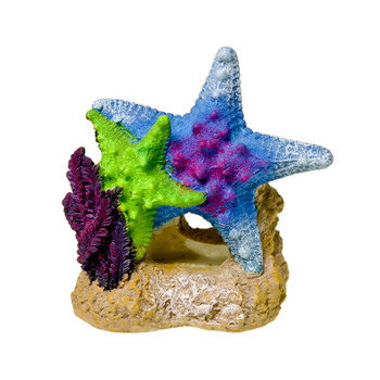 Blue Ribbon Exotic Environments Sea Star Duo Aquarium Ornament with Plant Multi-Color 4.5 in