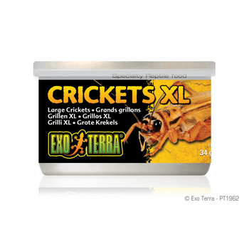 EXOTERRA Cricket Pen Large (PT2287) — jzxonline