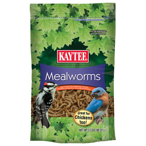 Kaytee Mealworm Food Pouch for Wild Birds, 3.5 Ounces