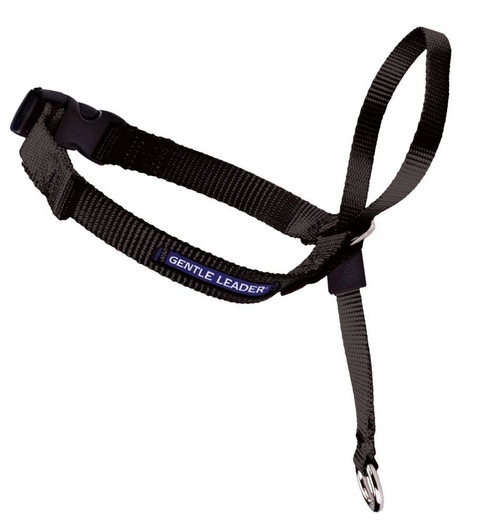 PetSafe Headcollar No-Pull Dog Collar Black MD