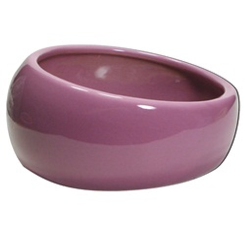 Living World Ergonomic Dish Pink Large 61685[RR] 080605616851