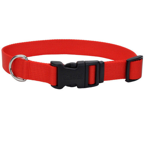 Coastal Adjustable Nylon Dog Collar with Plastic Buckle Red 3/8 in x 8-12 in