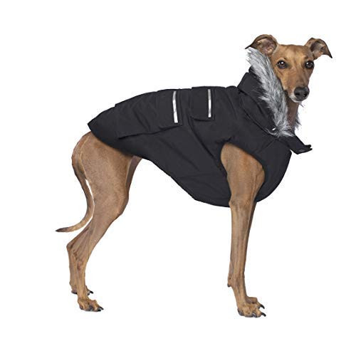 Canada Pooch is a pet apparel designer located in Toronto, Canada that specializes in high quality functional pet outerwear. Perfect for city life or the great outdoors, Canada Pooch products are guaranteed to keep pets warm and dry.