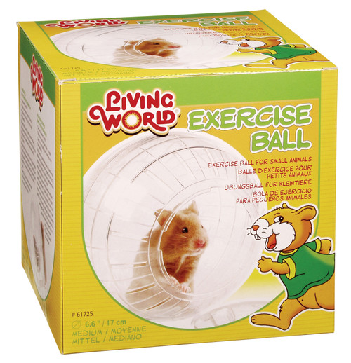 Living World Exercise Ball, Medium 080605617254