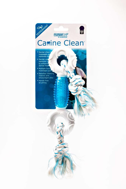 Multipet Canine Clean 5 in Peppermint Bone Dog Toy