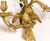 Four Rococo Style Gilt Bronze Three Light Parrot Sconces