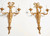 Fine pair of French gilt bronze sconces