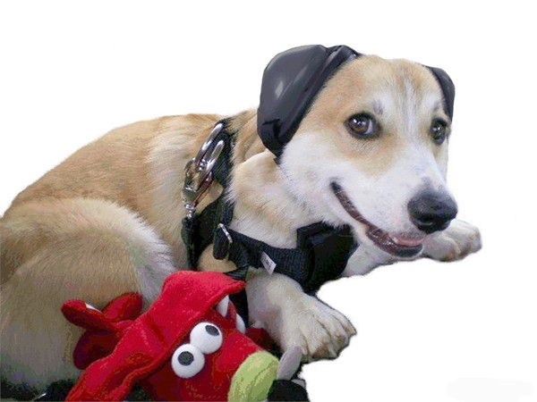 Mutt Muffs DDR337 Dog Ear Muffs Black Safe and Sound Pets Mutt Muffs