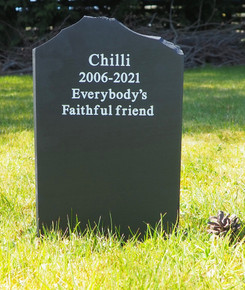 Pet Headstone with Jagged Top