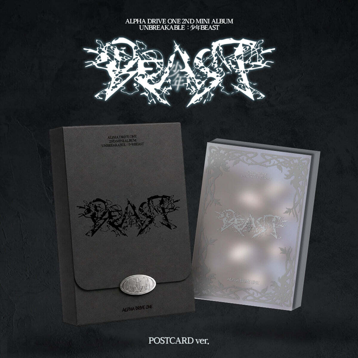 ALPHA DRIVE ONE 2nd Mini Album [UNBREAKABLE : 少年BEAST] POSTCARD ver.