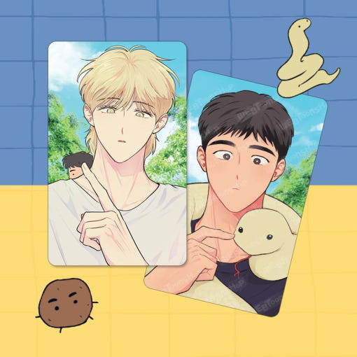 The Sacred Serpent's Seduction ] Photocard Set