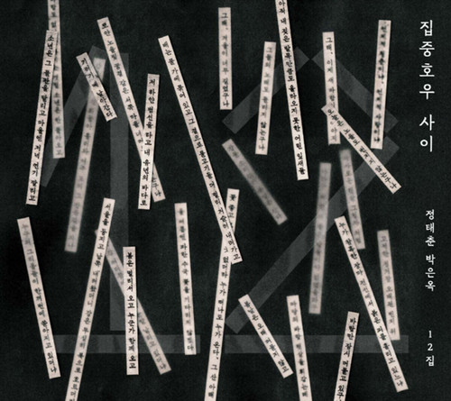 JOUNG TAE CHOON, PARK EUN OHK 12th Album [During a Cloudburst]