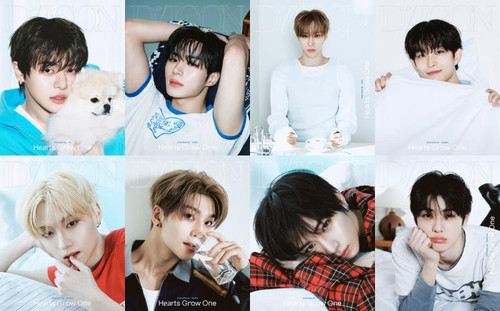 DICON VOLUME N°33 ALPHA DRIVE ONE : HEARTS GROW ONE [B-type]