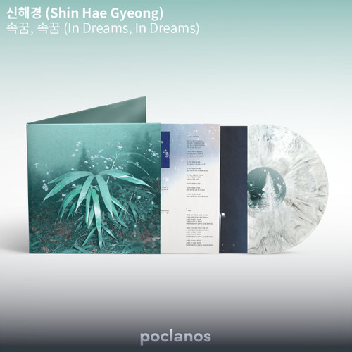 SHIN HAE GYEONG [In Dreams, In Dreams]