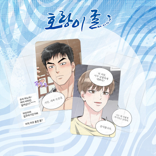 [ Tiger's Den ] Quote Photocard Set