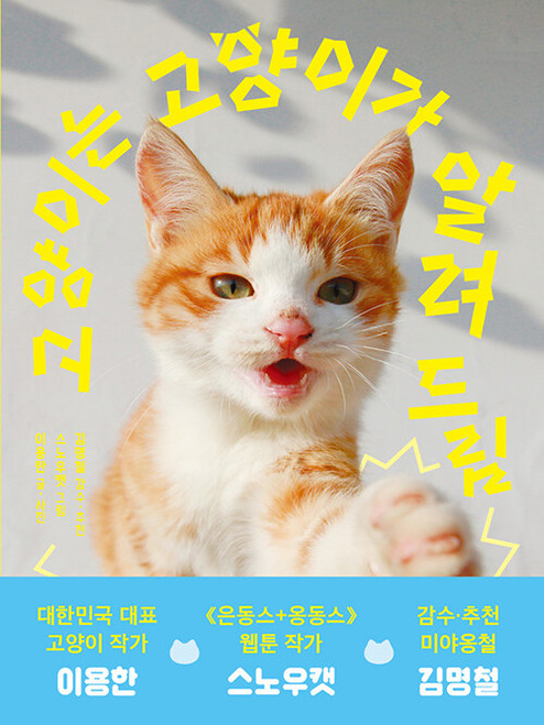 Cats Teach You About Cats