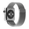 Milanese Loop Apple Watch Band (Silver)