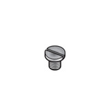 ETA 2824 Barrel Bridge Screw (#5105)