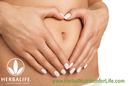 Herbal Nutrition for Life - Digestive Health