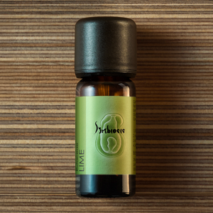 Lime  |  Citrus aurantifolia