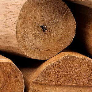 Sandalwood  |  Santalum album 5mL