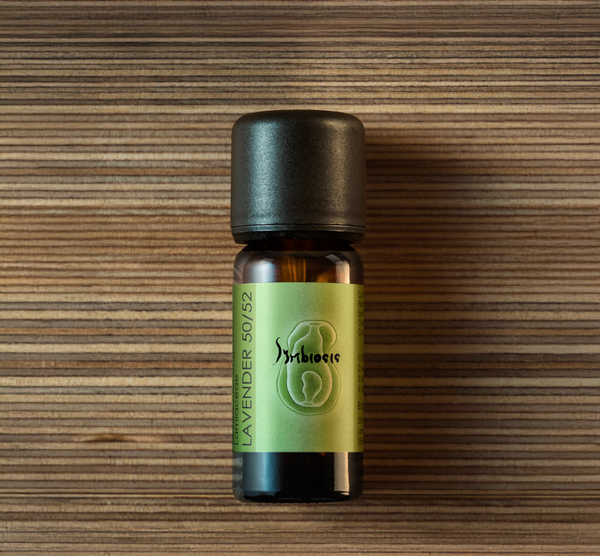 Lavender 50/52  |  Lavendula angustifolia