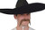 Brown Mexican Moustache